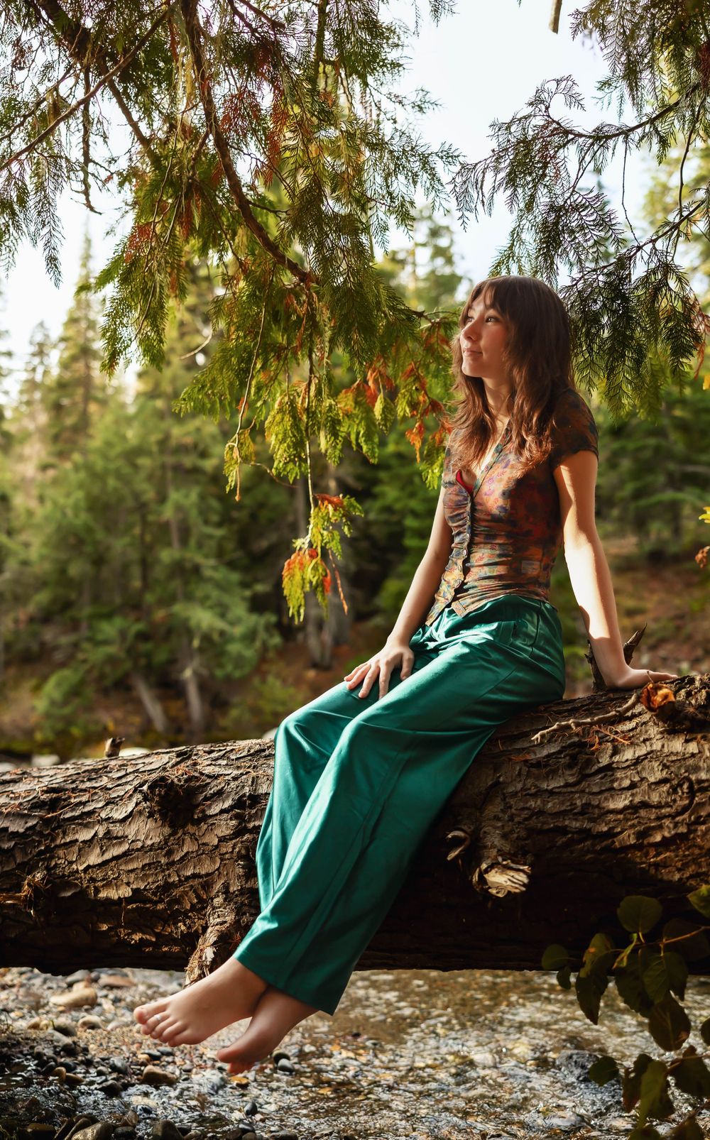 Dreamy forest scene with someone perched on a fallen log wearing a flowing teal dress.