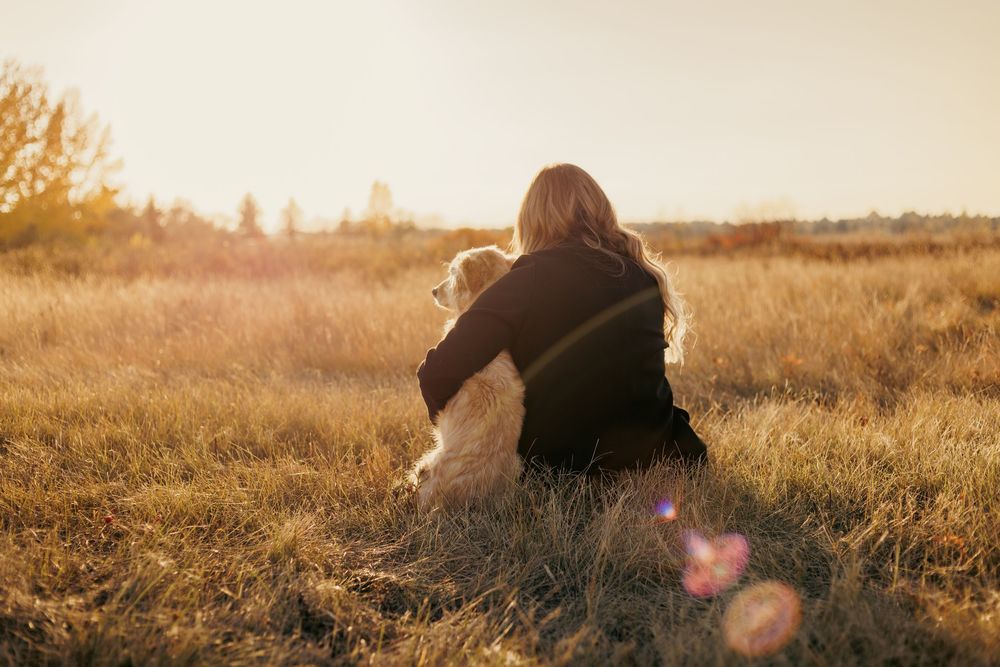 Sunset dog hug