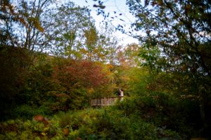 Couple stands on wooden bridge surrounded by vibrant autumn foliage during wedding portraits.