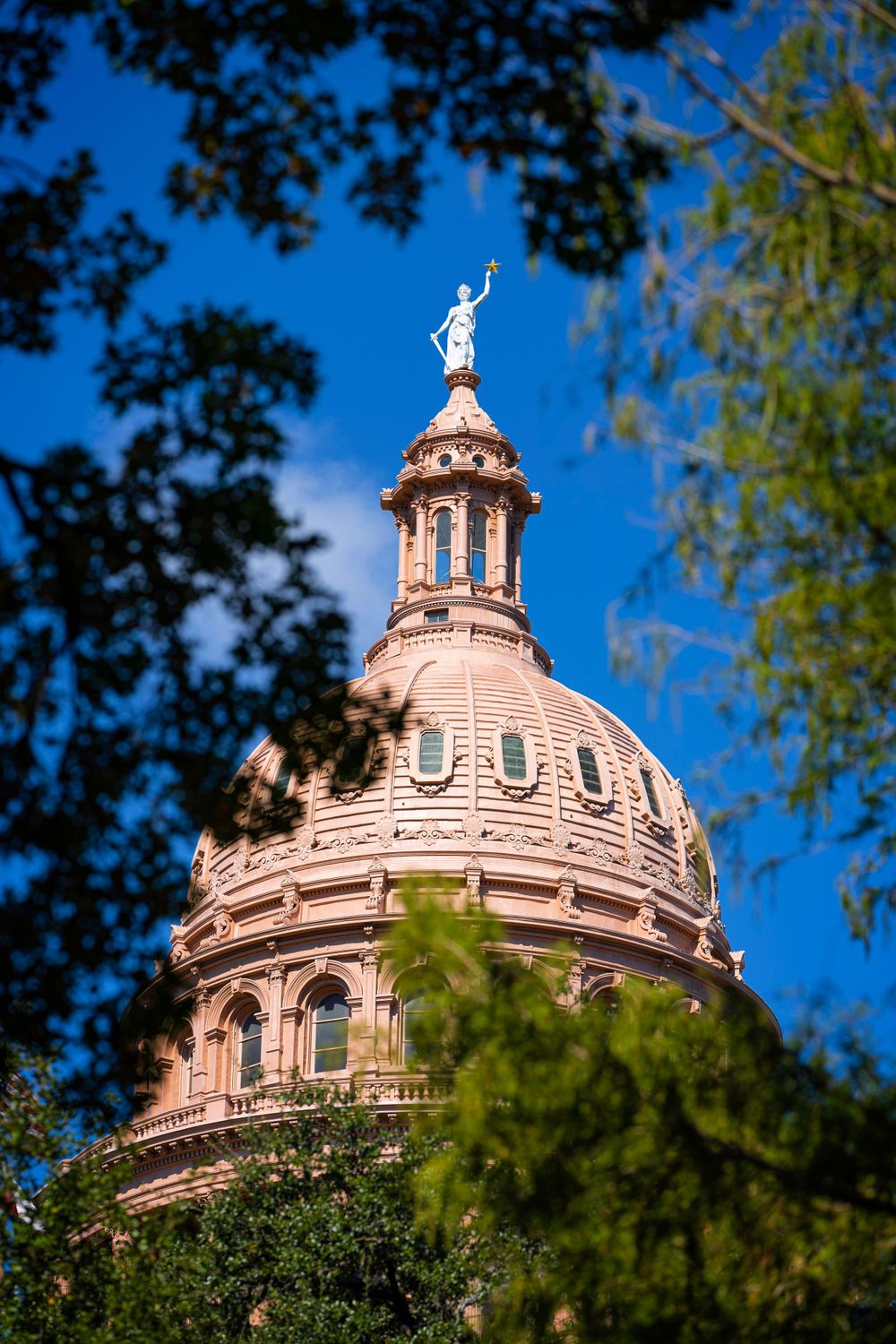 Pink-domed Texas State Capitol building peeking through green foliage against bright blue sky.
