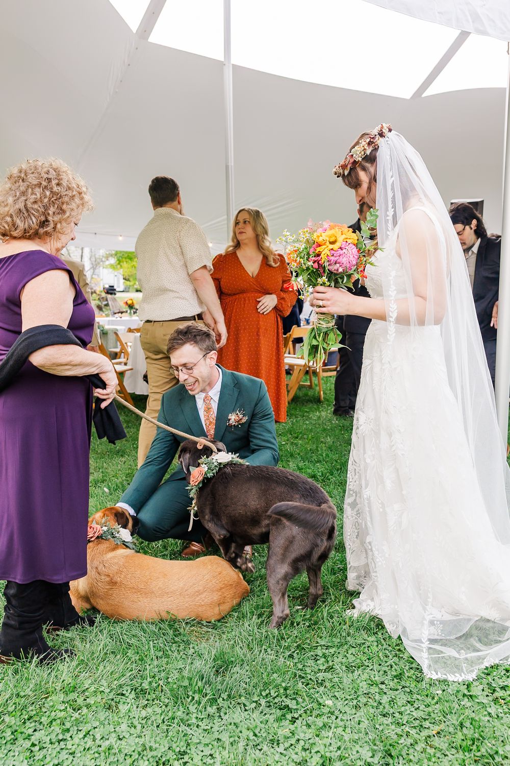 A wedding party gathers on grass with a dog as a series of candid moments unfold during an outdoor celebration.