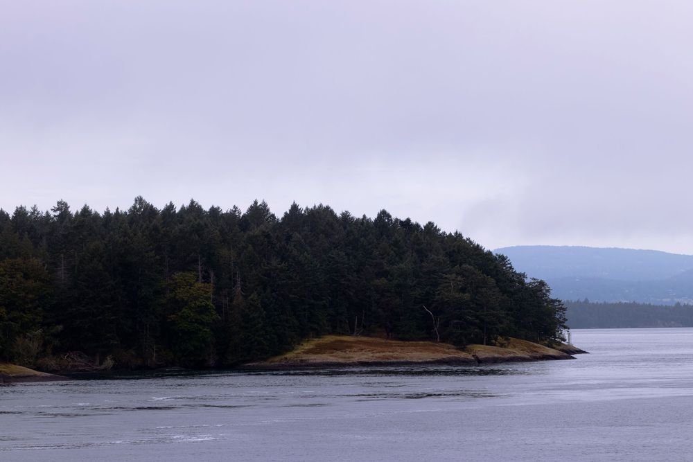 A panoramic view of a misty coastline with evergreen trees and rocky shores along a calm waterway.