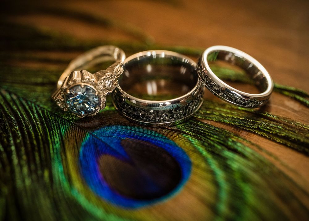 Wedding rings displayed artistically on iridescent peacock feathers with macro detail.
