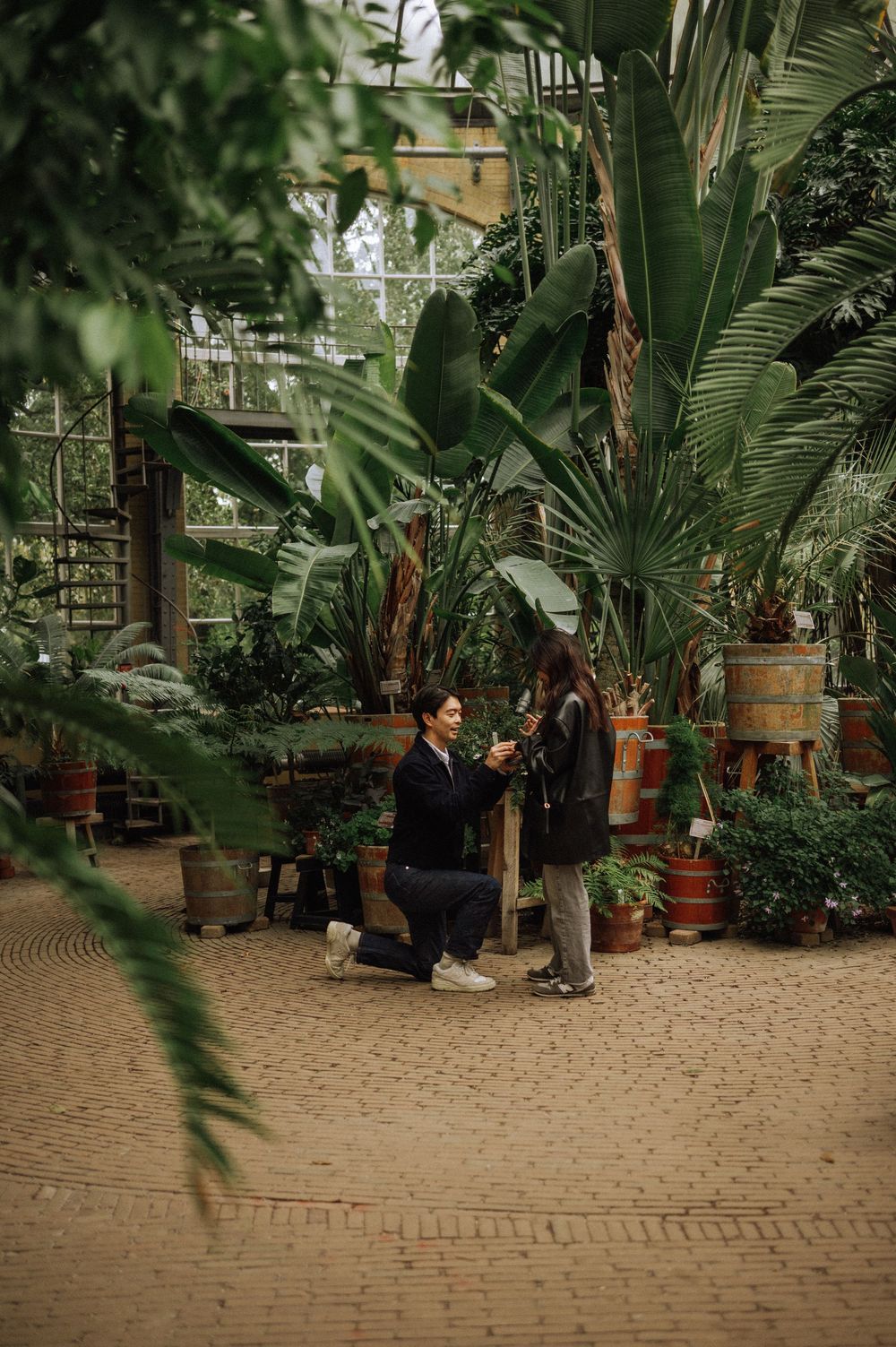 A couple shares an intimate moment in a lush greenhouse setting surrounded by tropical plants and brick pathways.