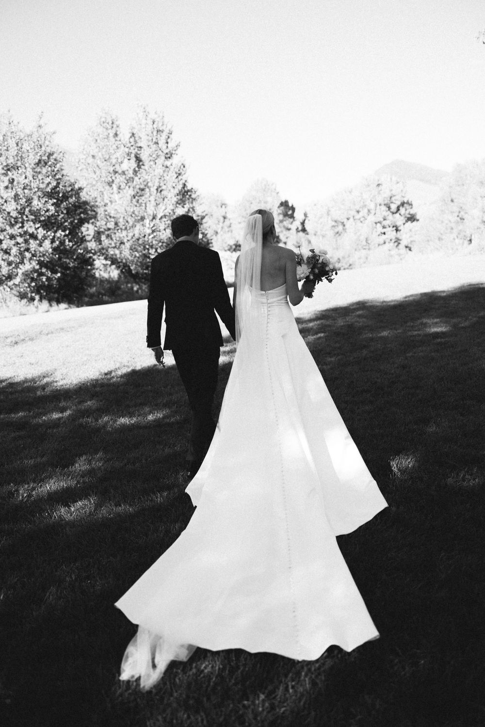 A series of black and white silhouettes show a couple in wedding attire walking together across a grassy hillside.
