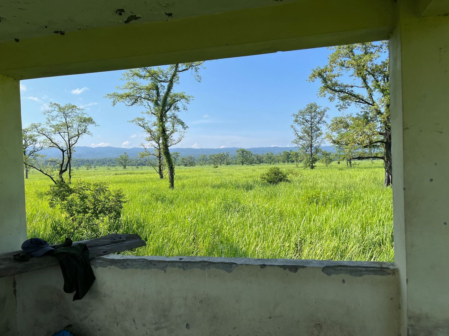 Panoramic view of a covered porch overlooking a vast green field with scattered trees.