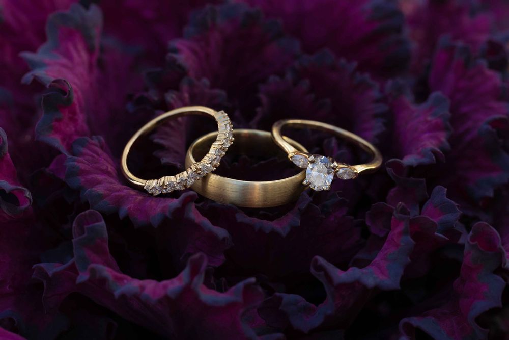 Three golden wedding rings arranged on dark purple ornamental leaves with diamond details.