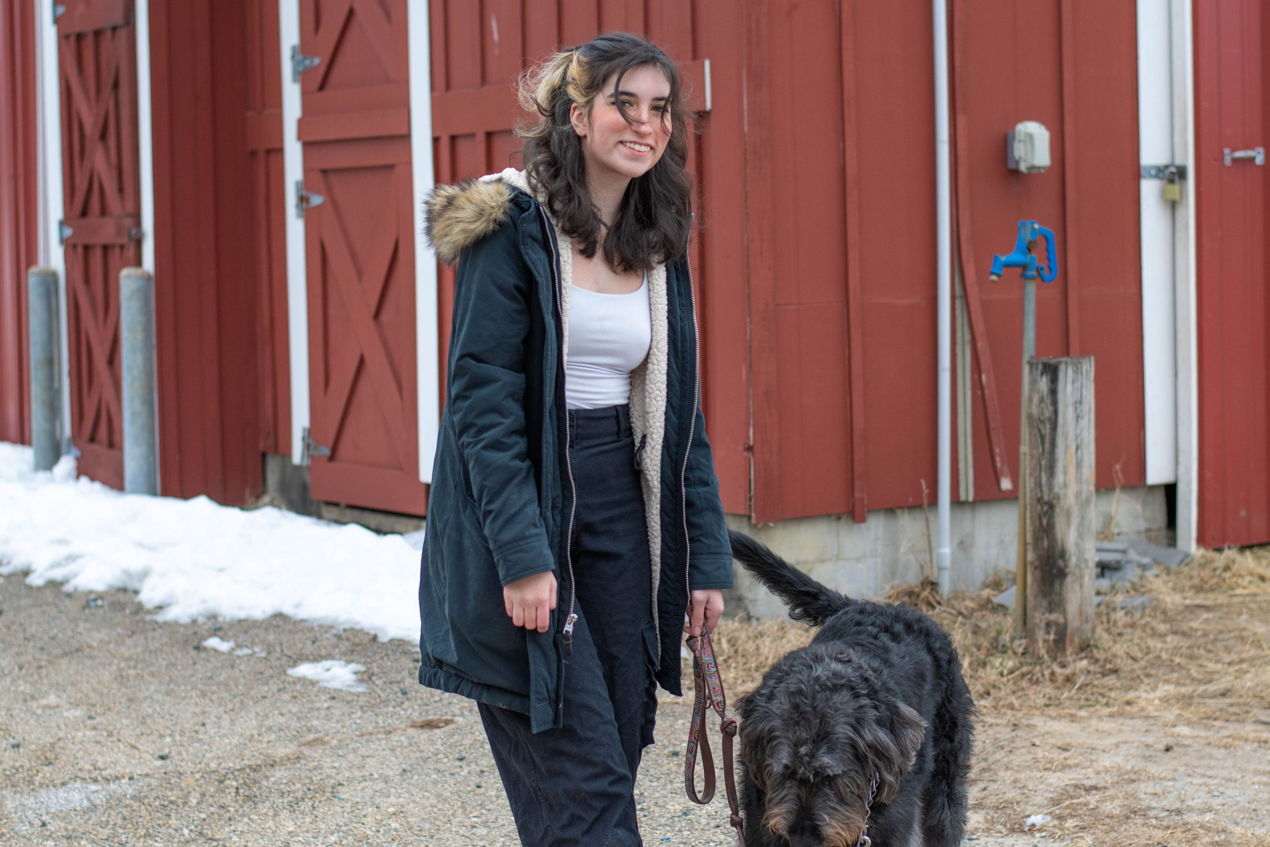 A person walks with a large black dog beside a red barn in snowy weather.