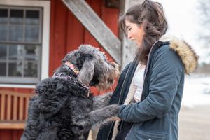 A large shaggy black dog interacts playfully with someone by a red building.