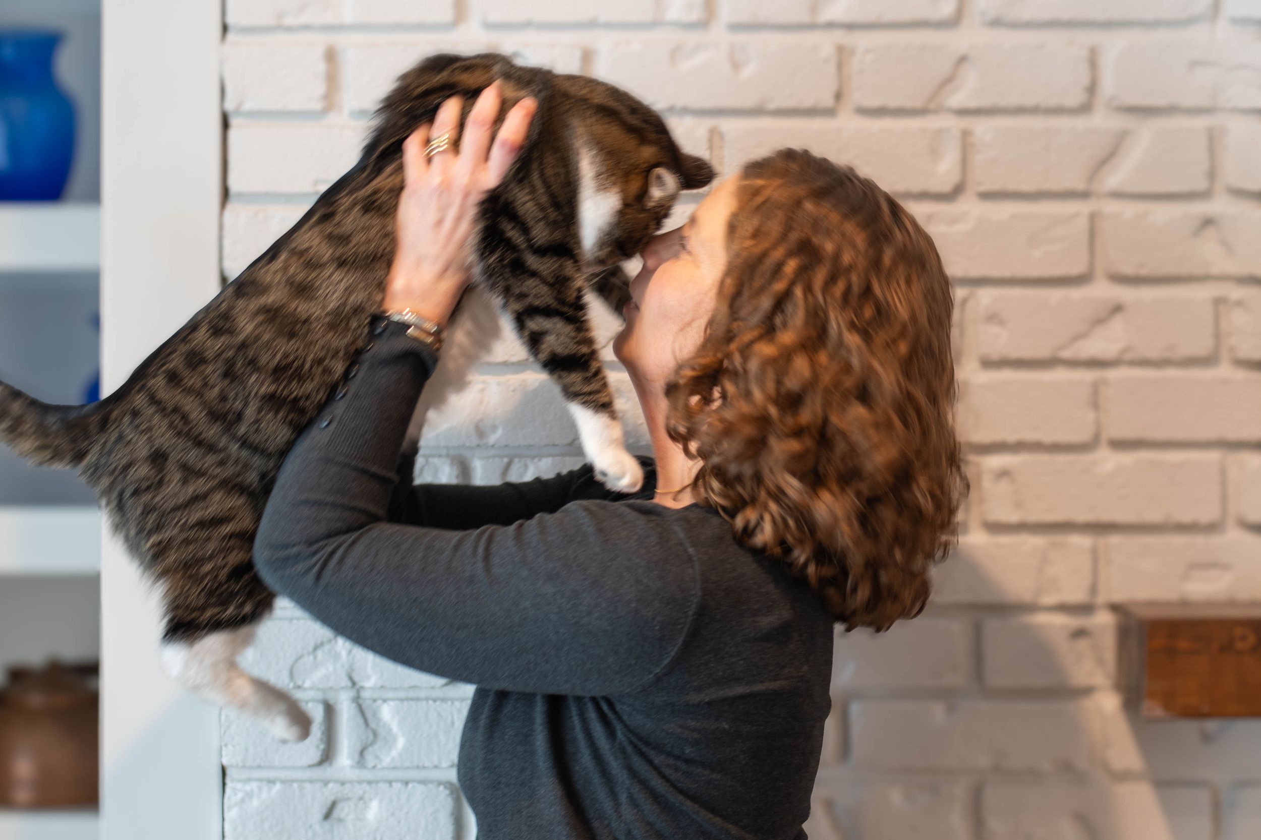 Person in dark sweater holding and nuzzling with a gray and white cat against white brick wall.