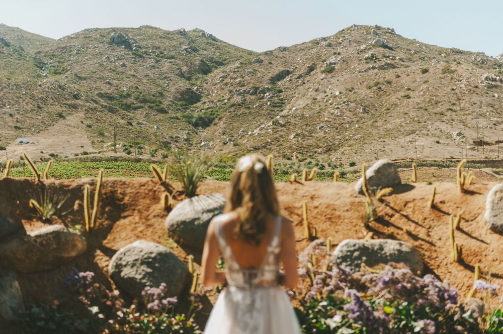 Bride staring at the desert.