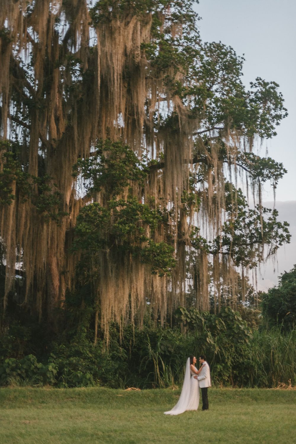 Newlyweds standing next to a tall tree on a Colombian garden.