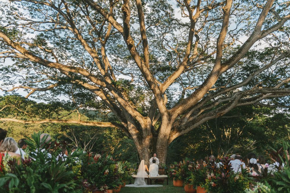 Wedding ceremony taking place on a Colombian forest.