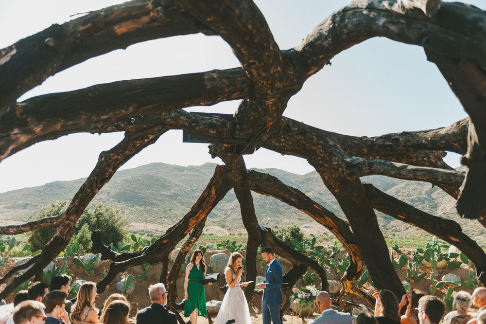 Wedding ceremony taking place under a tree-like structure.