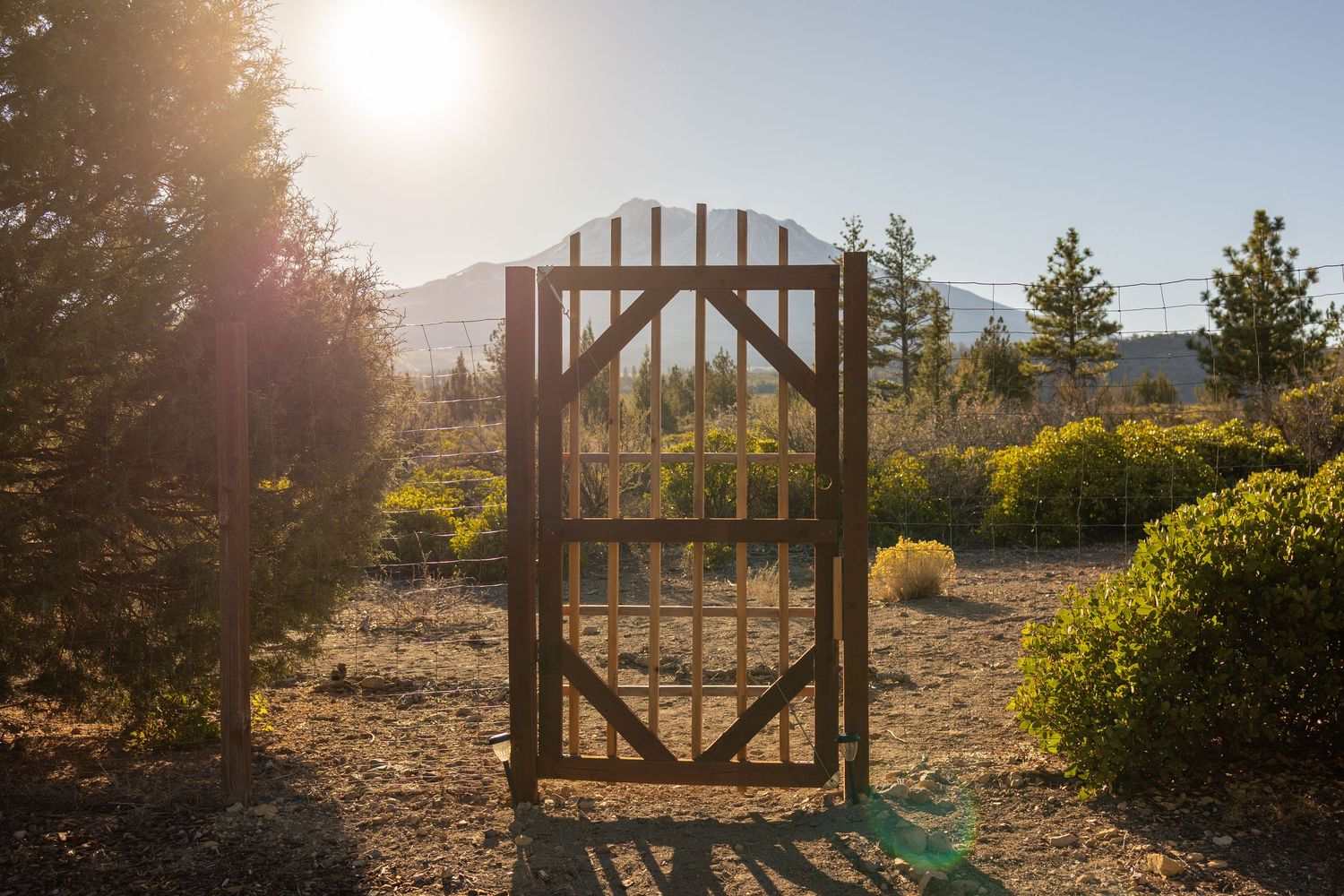 Sunlight streams through a rustic wooden garden gate in a tranquil outdoor setting during golden hour.