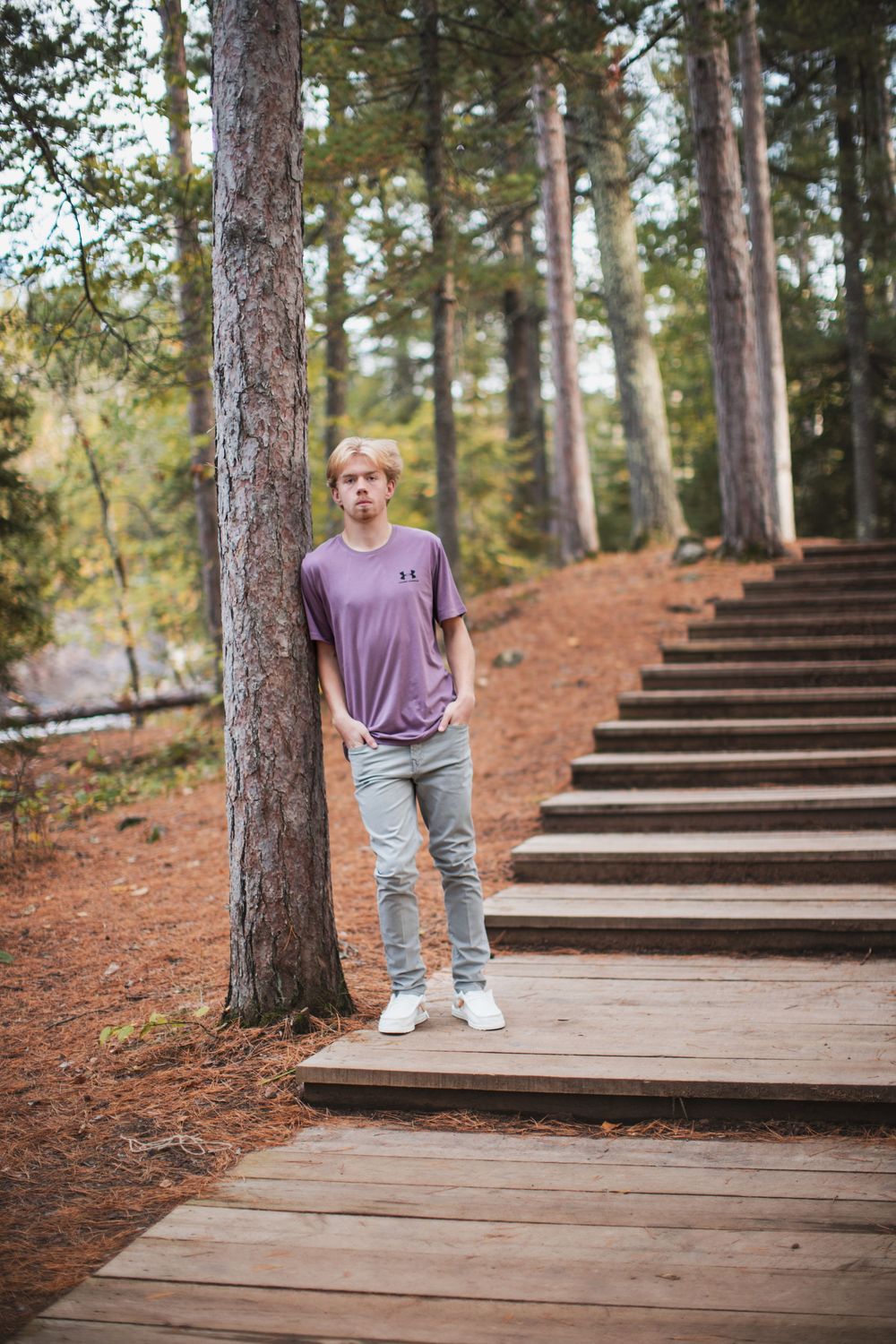 Person walking on wooden steps surrounded by tall pine trees and reddish-brown soil in a forest setting.