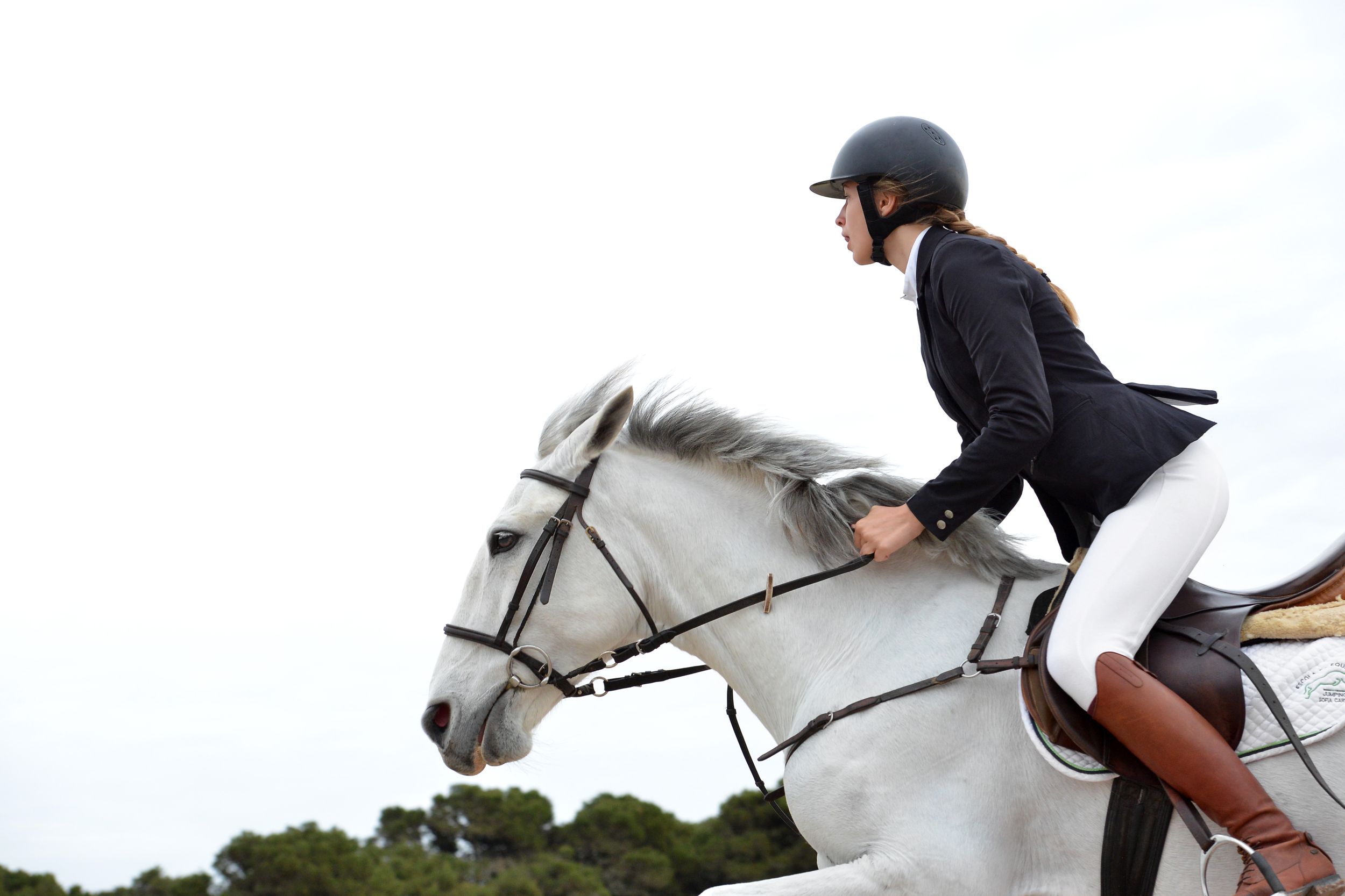 horse and human portrait