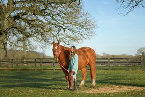 horse and human portrait
