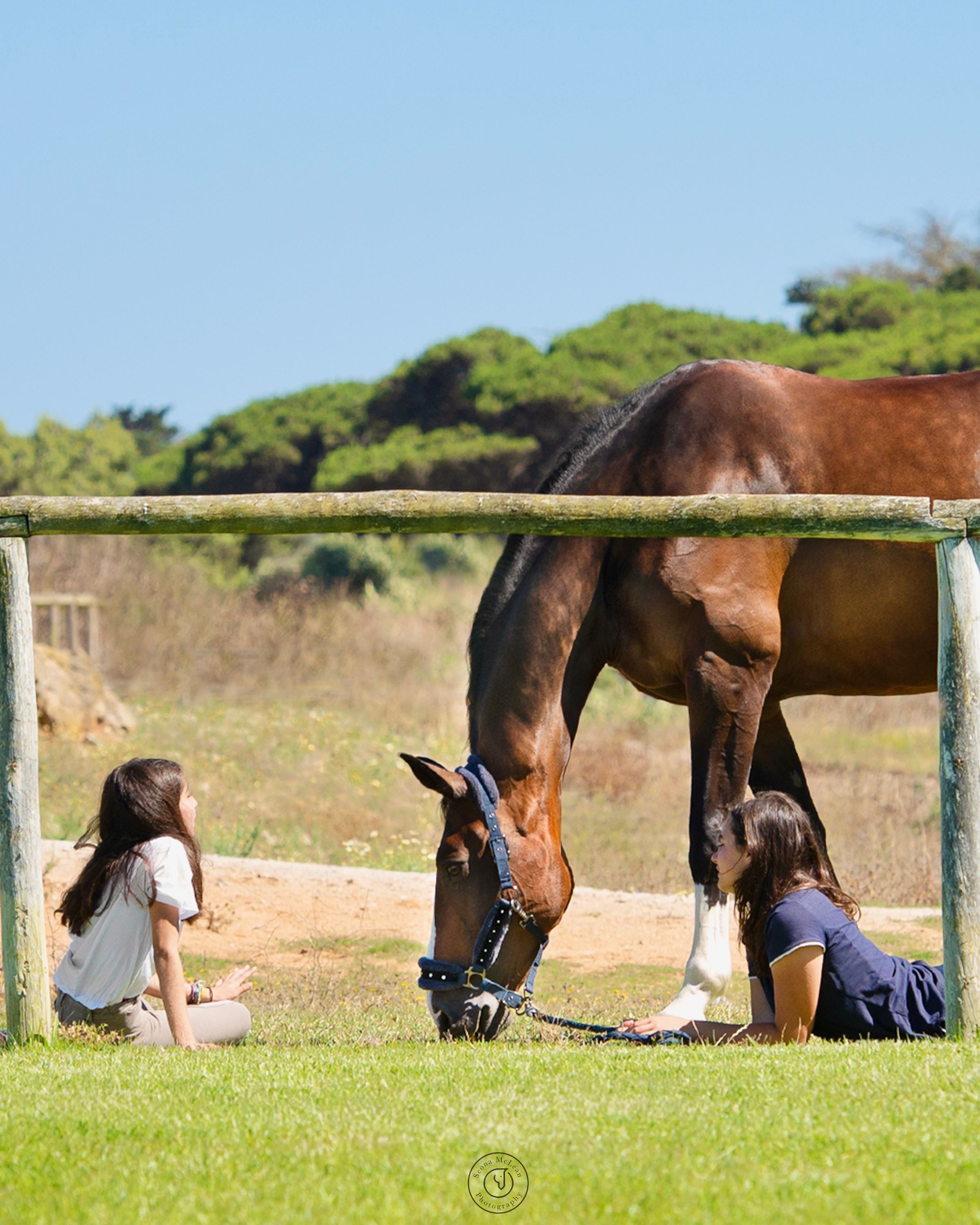 horse and human portrait