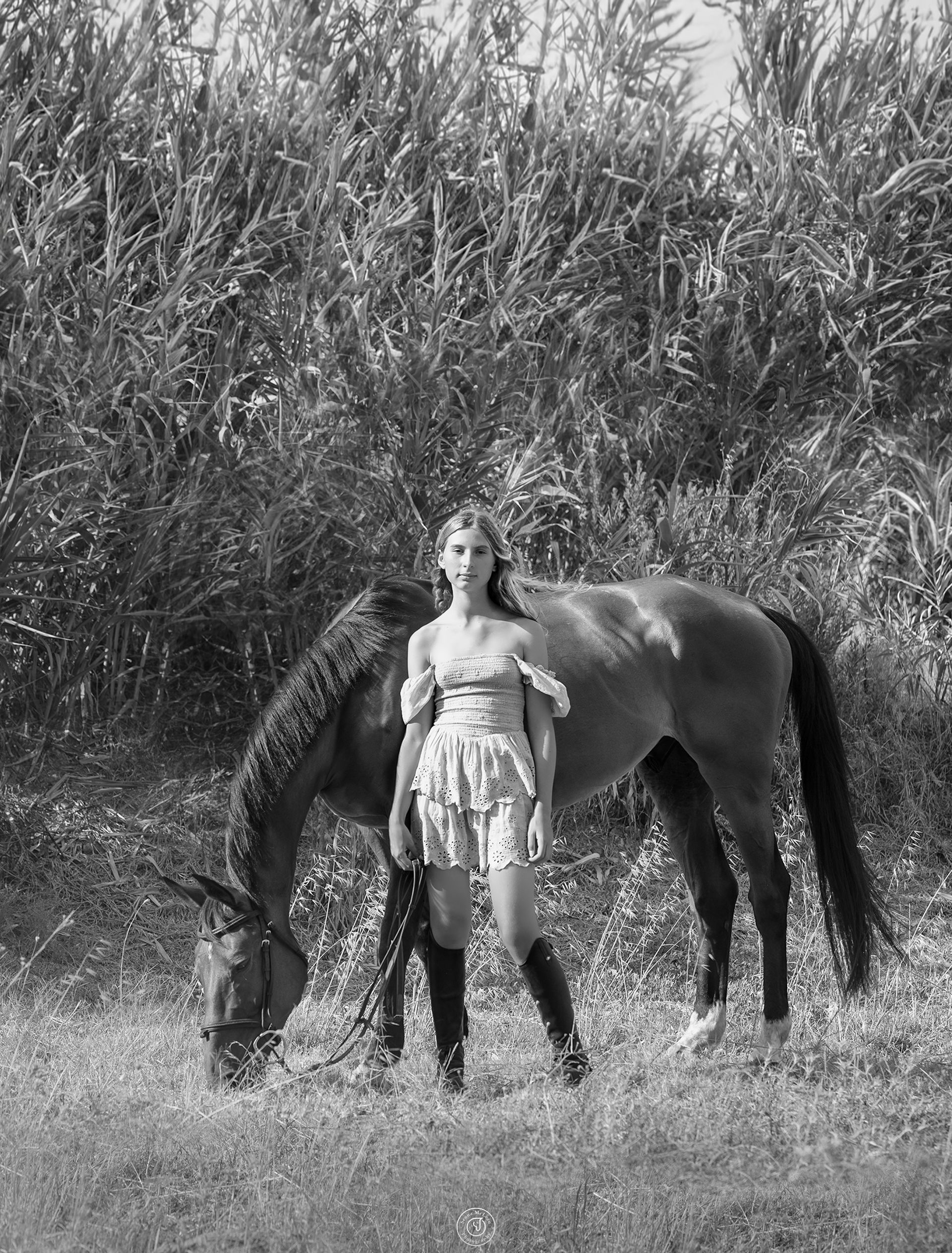 horse and human portrait