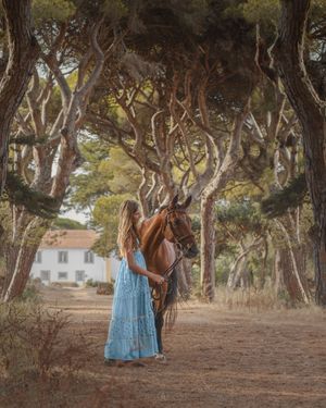 horse and human portrait