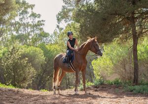 horse and human portrait