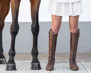 horse and human portrait