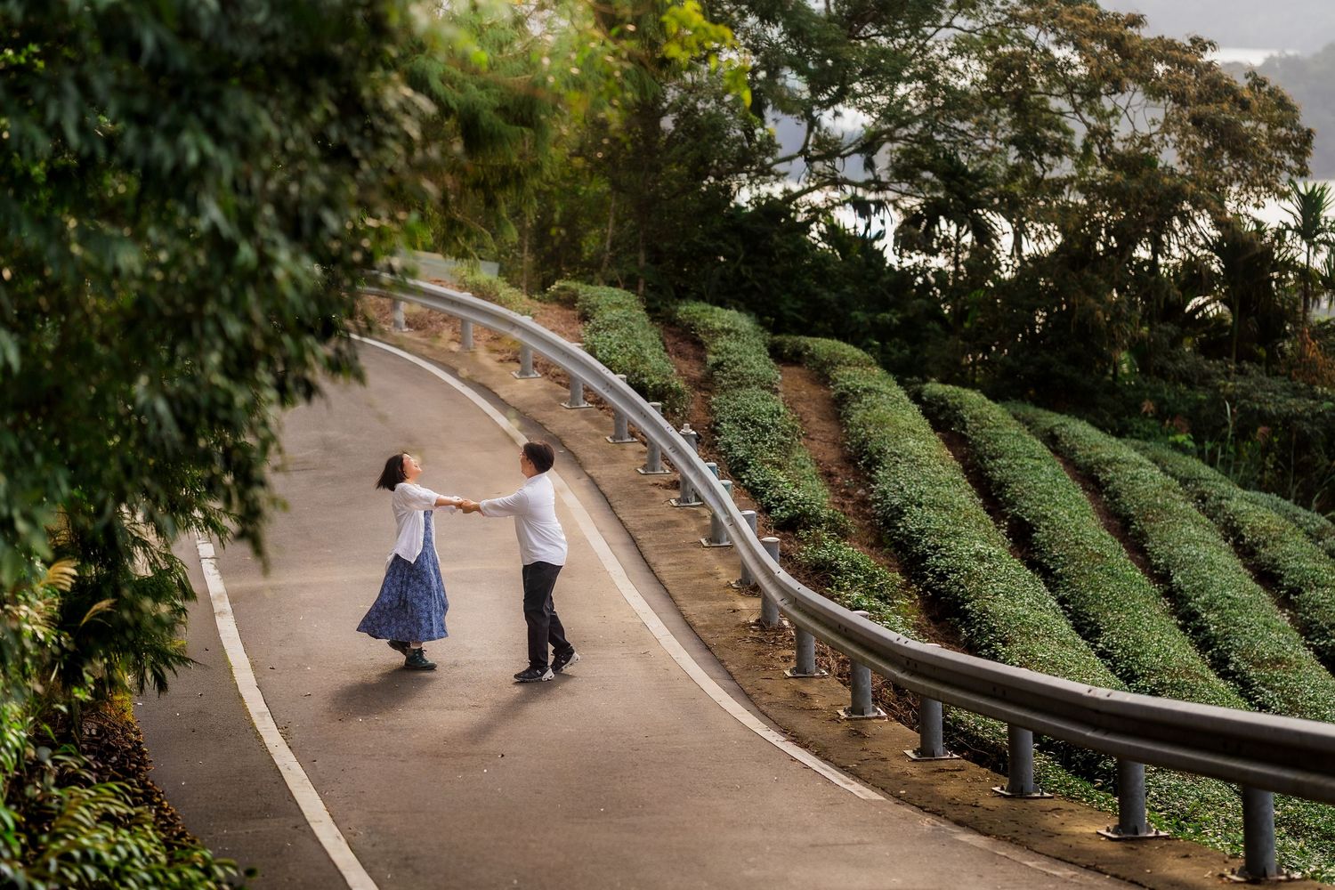 Curved pathway winding through lush green tea plantations on a hillside with visitors walking along the scenic route.