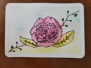 Delicate watercolor illustration of a pink rose with black ink details and yellow-green leaves.