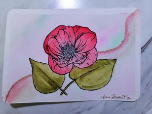 Detailed watercolor illustration of a pink poppy flower with green leaves.