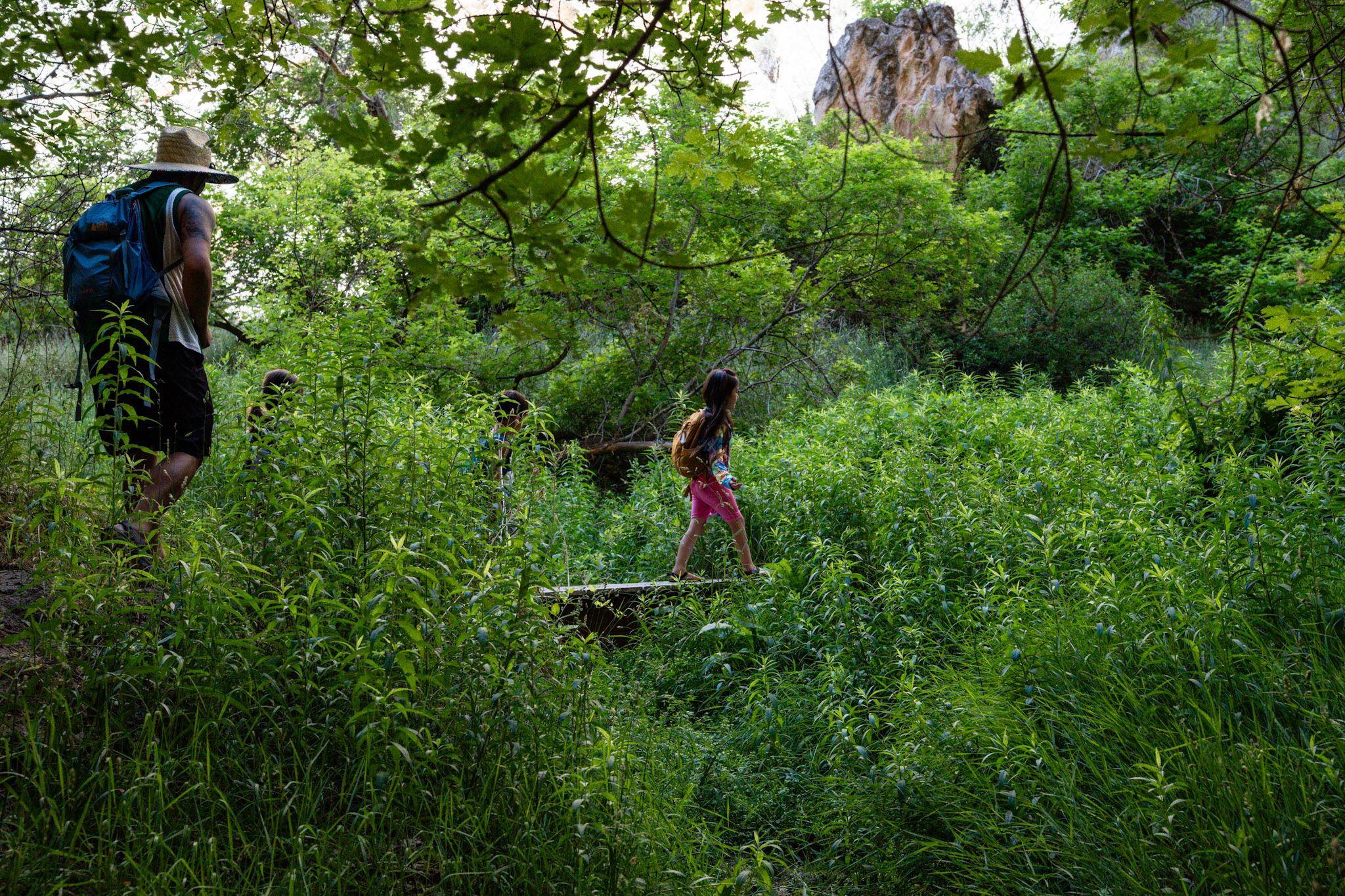 Hikers explore a lush green trail surrounded by dense vegetation. Utah dinosaur national monument photographer adventure sessions