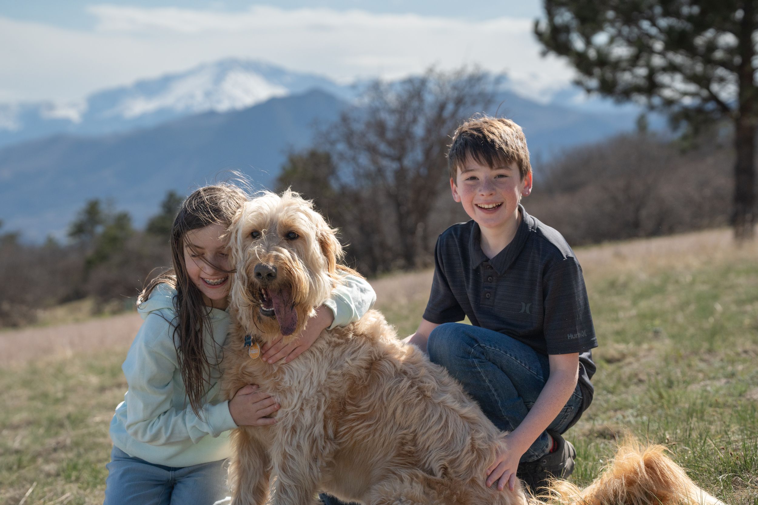 Two children and their golden doodle dog pose together on a hillside with snow-capped mountains behind them. family sesson