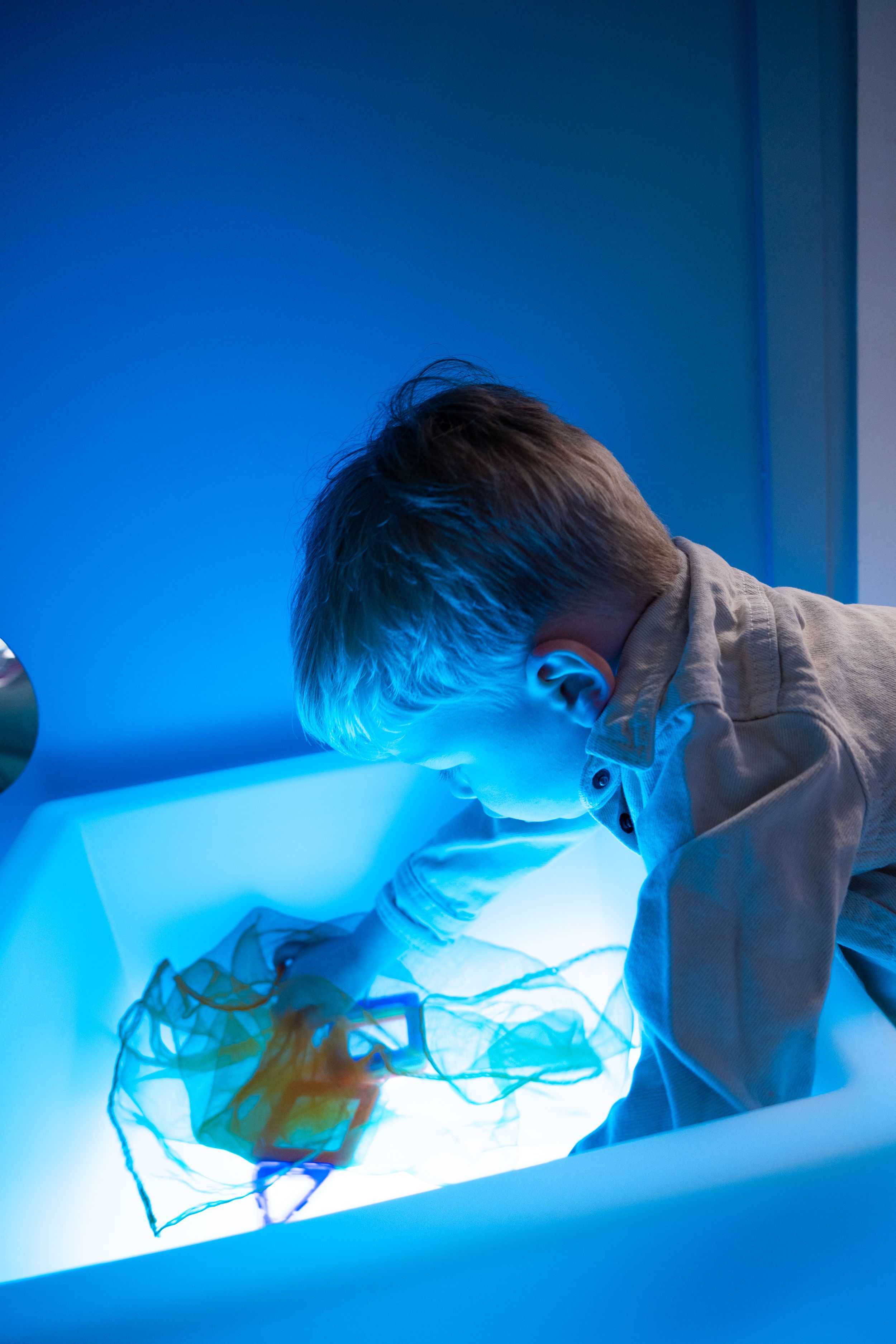 A person in a white coat examines illuminated specimens on a light table with blue ambient lighting.