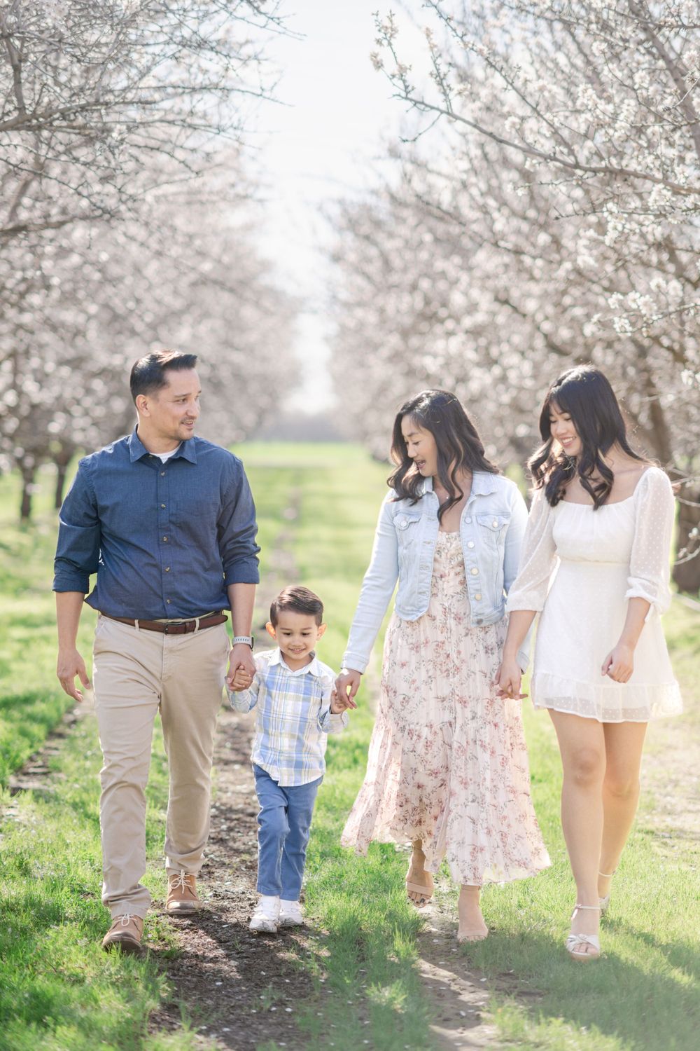 A family takes a stroll together through a blooming cherry blossom orchard path.