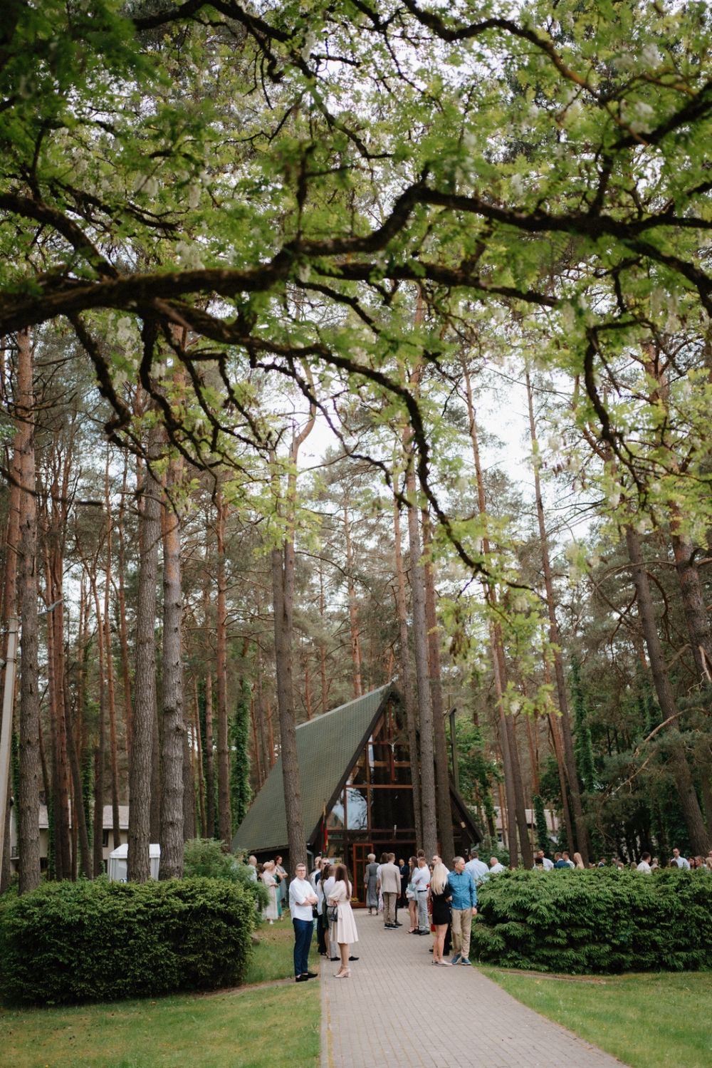 Wooded outdoor wedding venue with tall pine trees and walking paths.