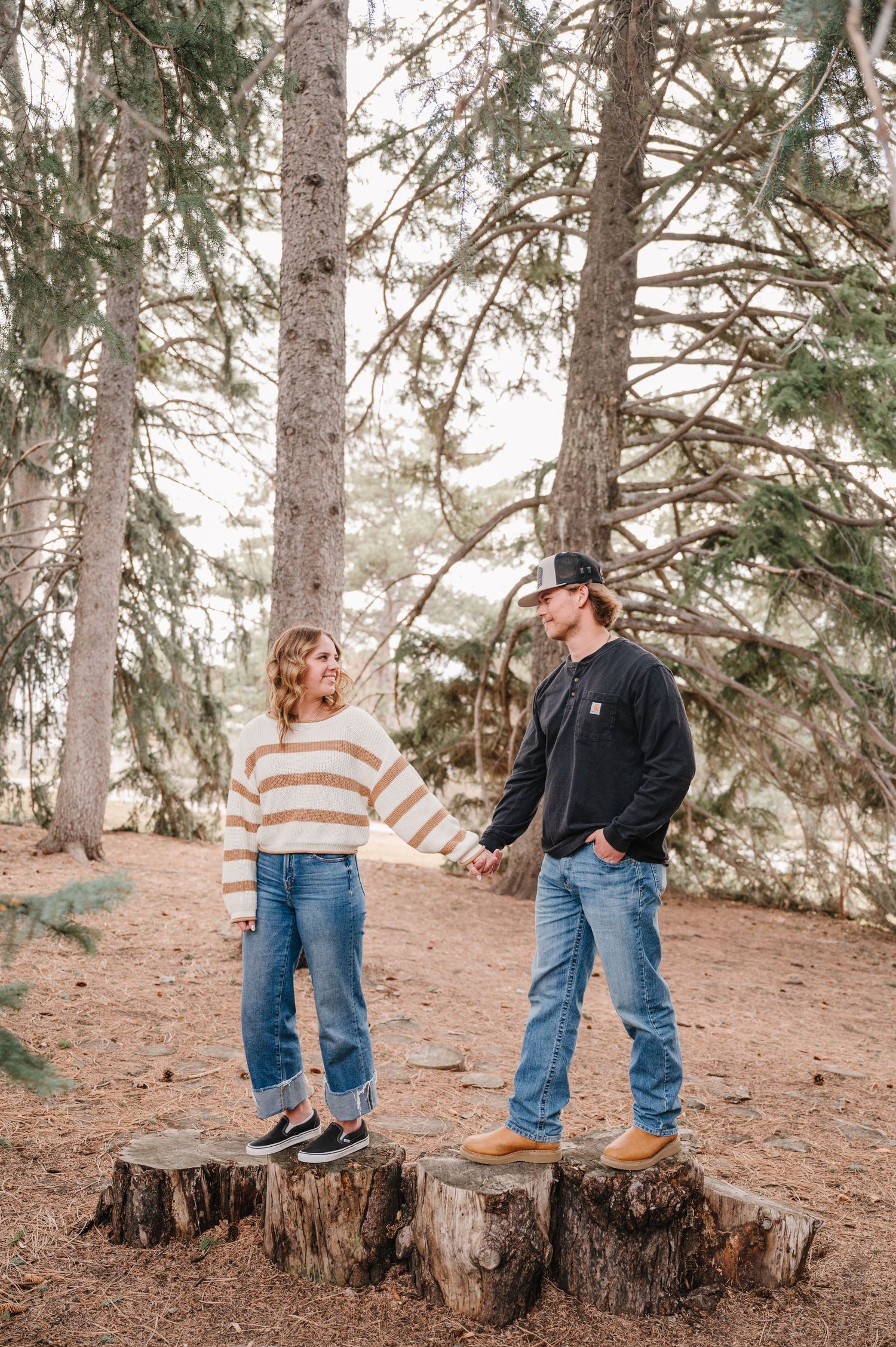 A couple stands together on tree stumps in a pine forest with soft natural lighting and casual outfits.
