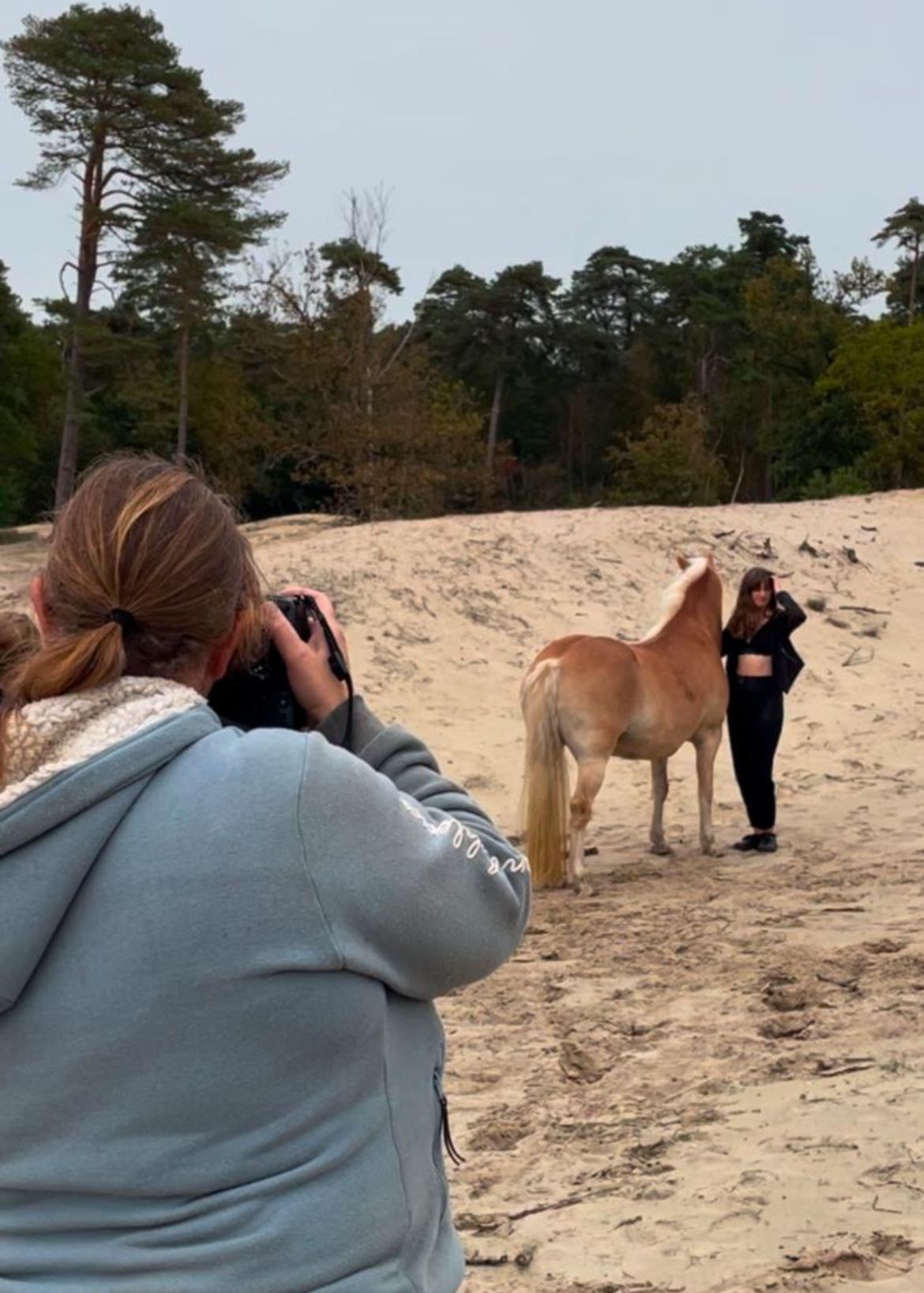 Paardenfotograaf uit Nederland creëert romantische paardenportretten in de natuur.