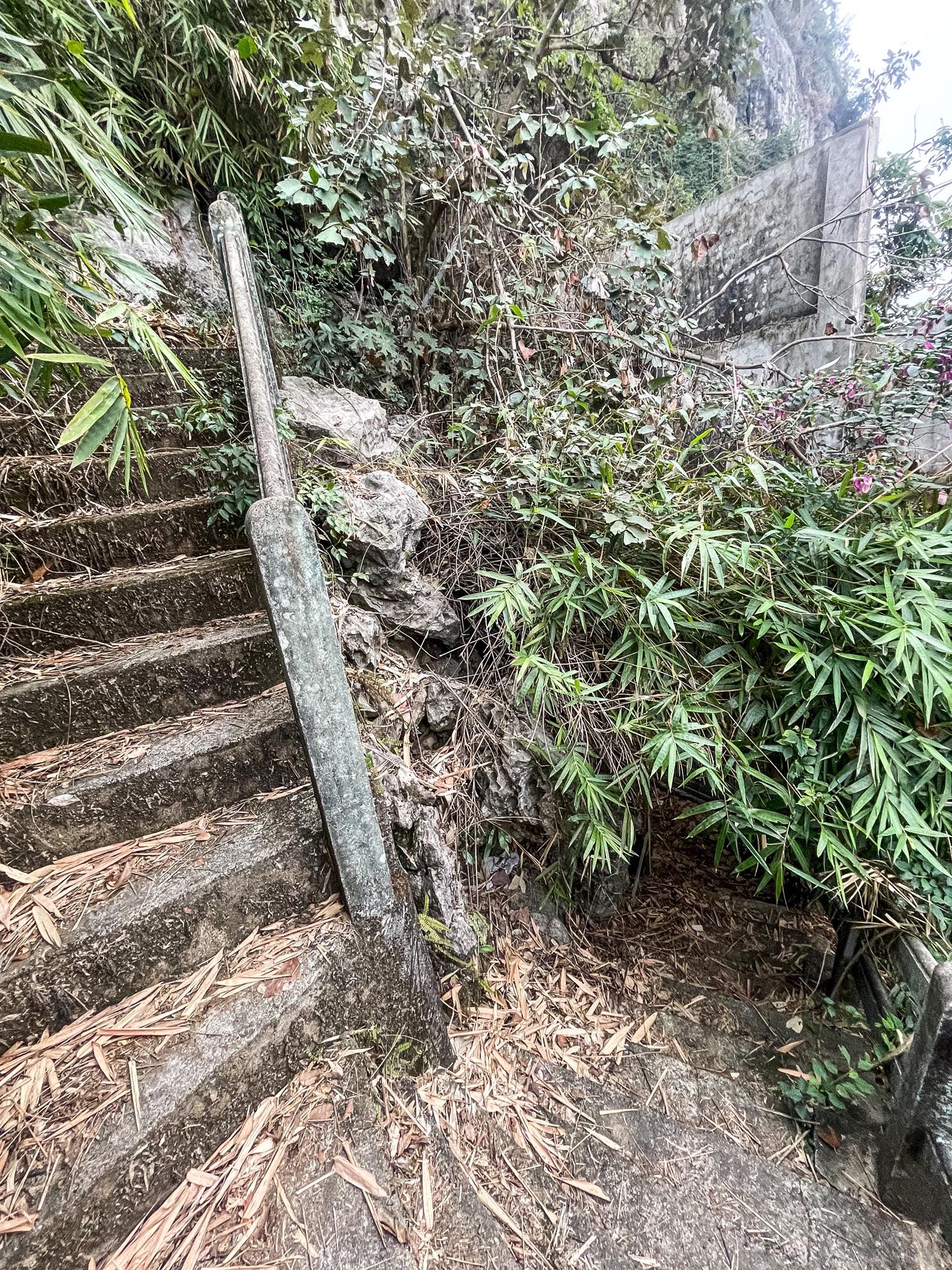 Rustic stone steps wind up a steep path through lush bamboo and tropical foliage on a mountainside trail.