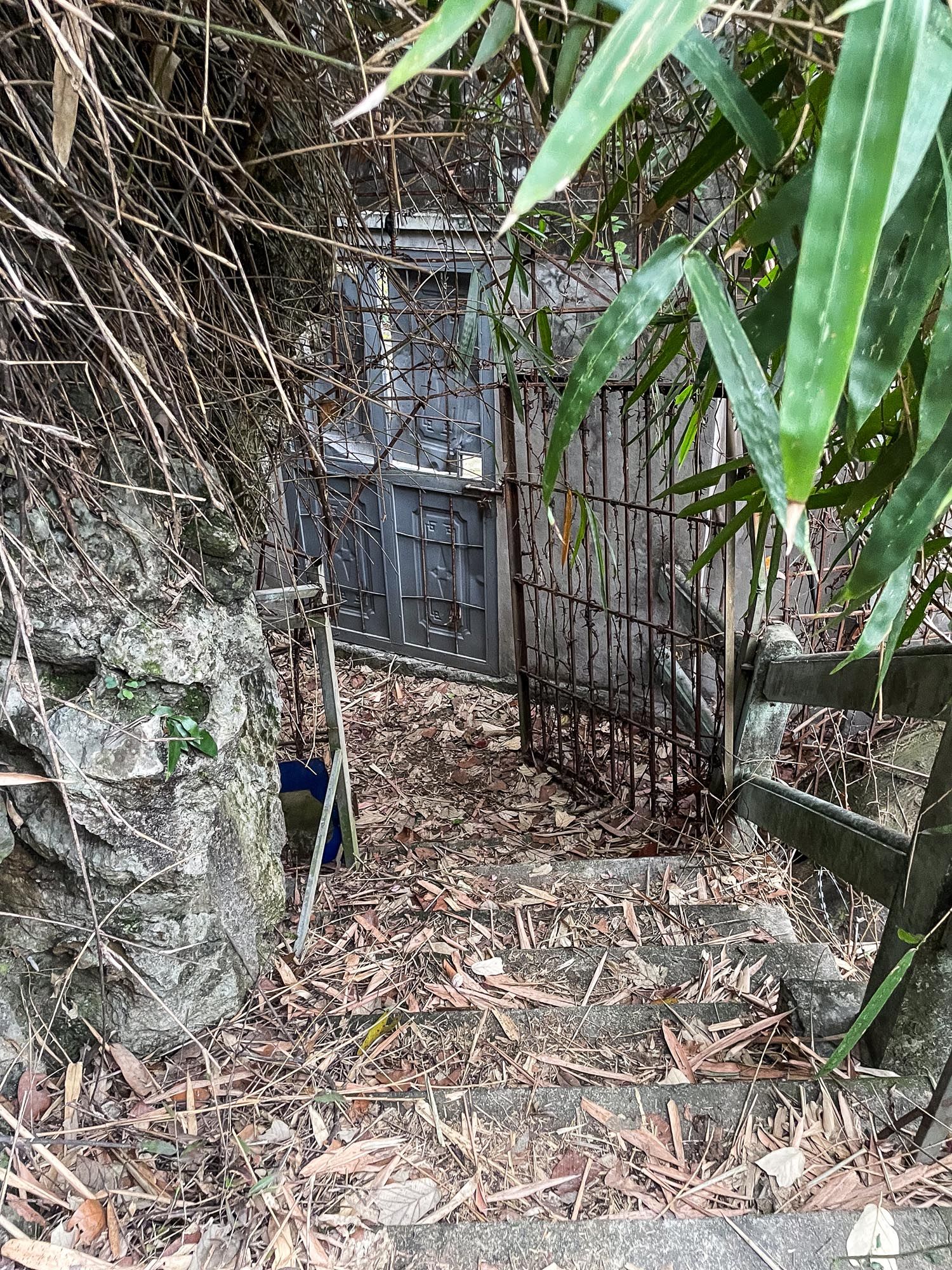 A weathered iron gate with bamboo leaves stands against a stone wall in a garden path covered with fallen leaves.