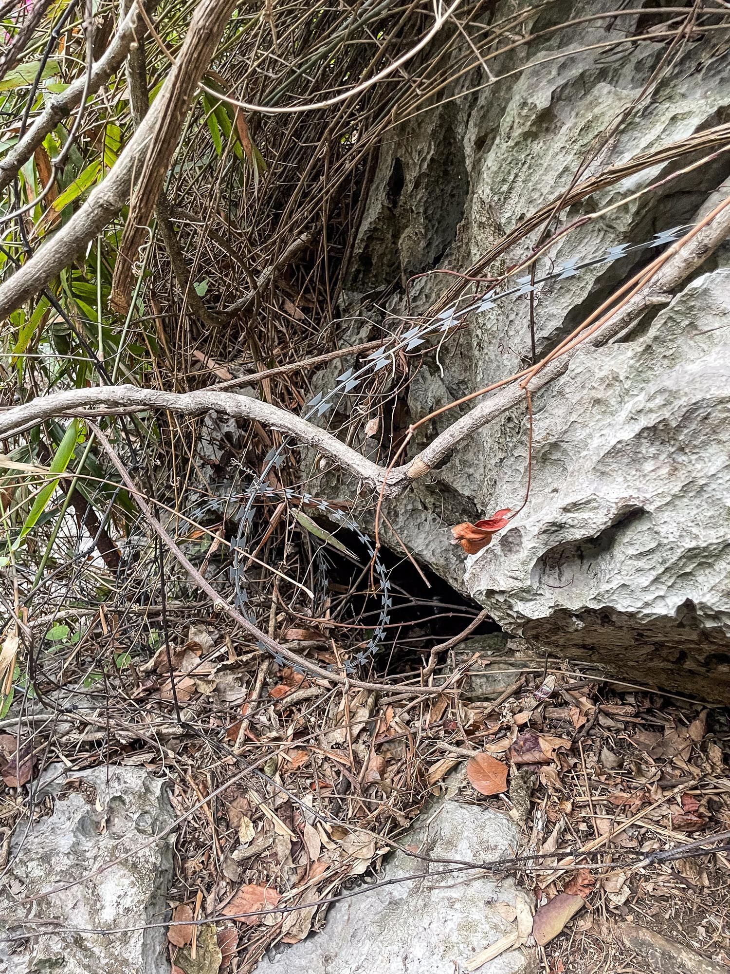A small cave entrance in rocky terrain surrounded by dried leaves and branches with natural light filtering through.