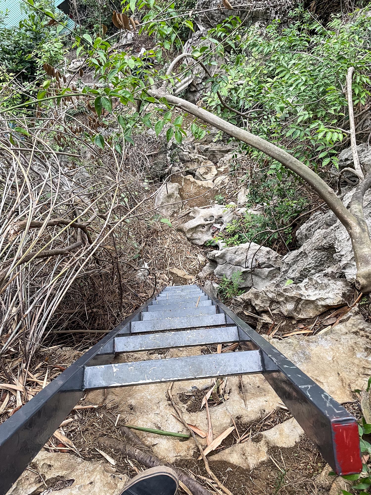 Metal steps with handrail descend down a rugged dirt path surrounded by brush and rocks in a natural setting.