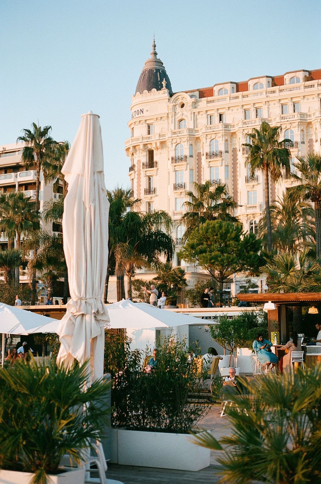 Luxurious hotel Carlton in Cannes, France with palm trees and white umbrellas along the Mediterranean coastline.