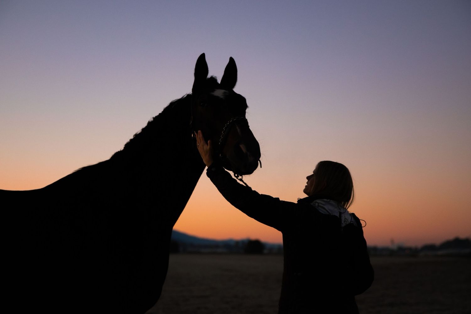 Silhouette of a horse and handler against a purple sunset sky.