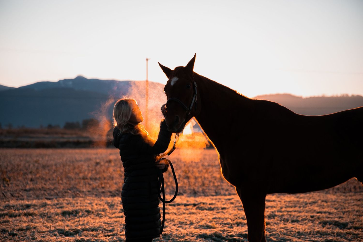 Silhouette of horse and person in golden sunset light with mountains in background.