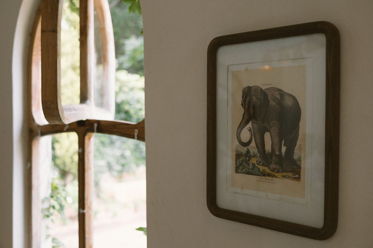 Cape Town wedding photographer Christene de Coning at Kleine Rijke documentary wedding