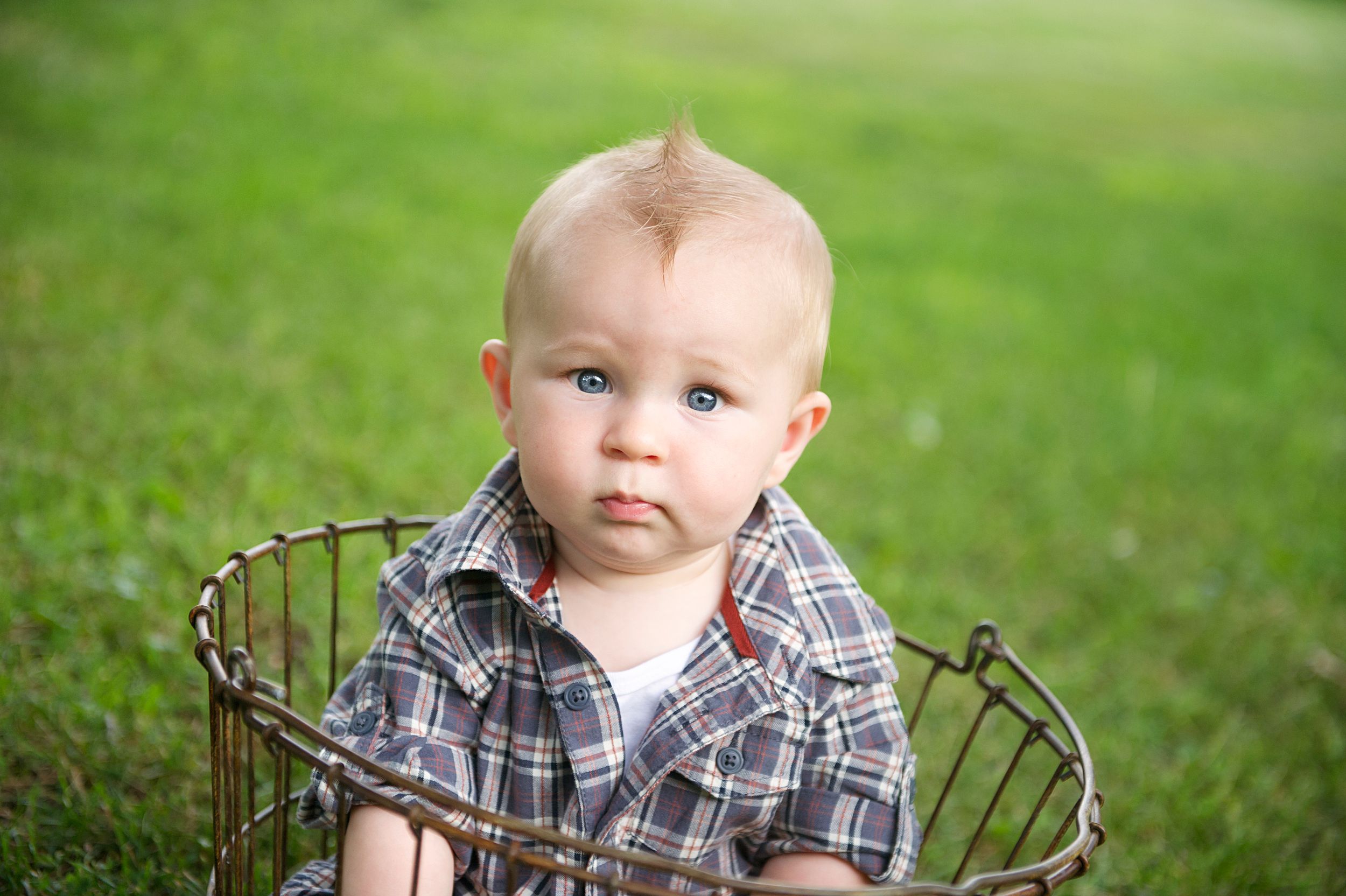Blonde toddler sitting in a wire basket on the grass, photographed by Phoebe Lee Photo for a child session in Toronto