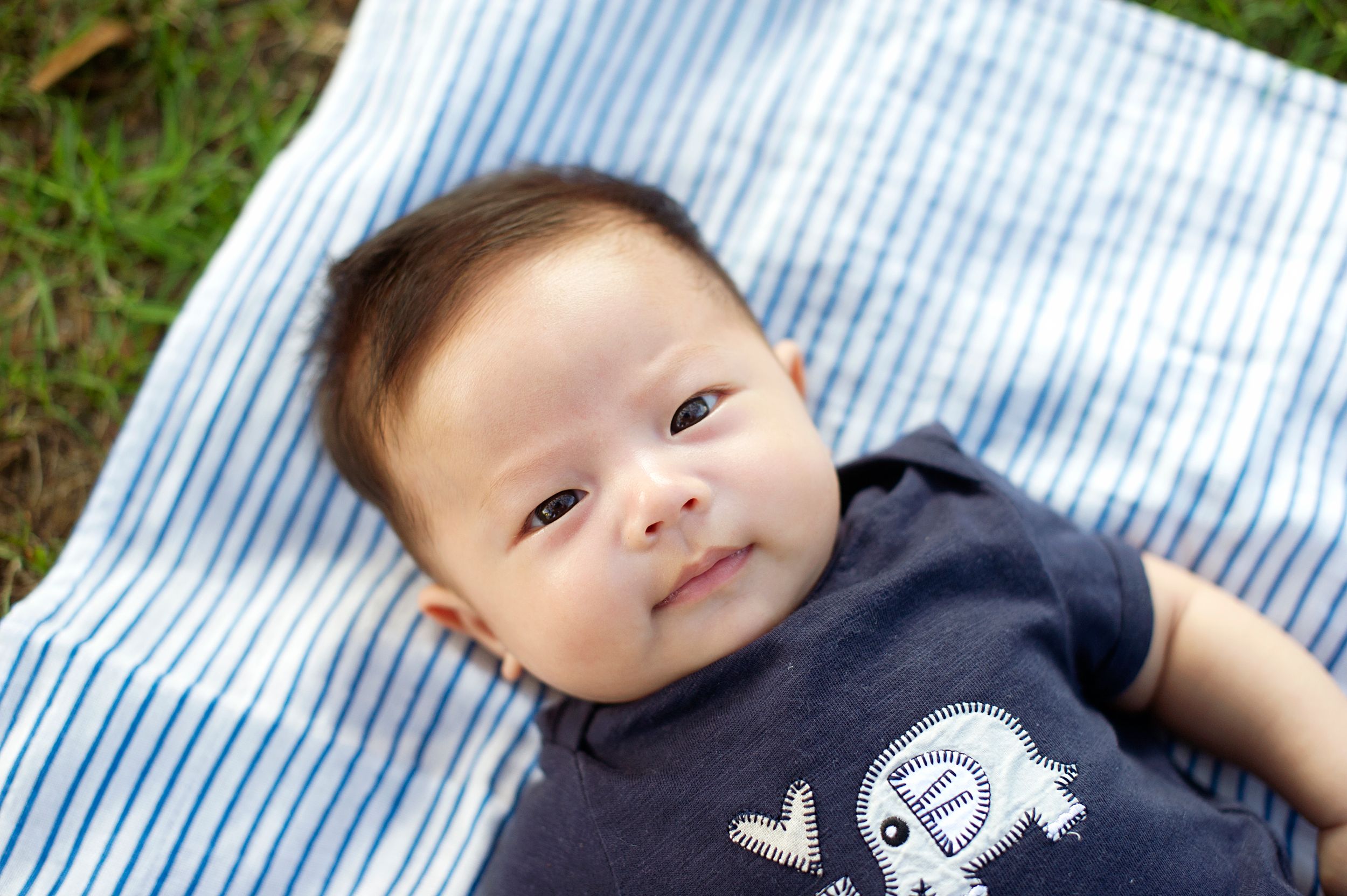 Infant boy lying on a striped blanket in the grass, wearing a navy shirt, captured by Phoebe Lee Photo in Toronto