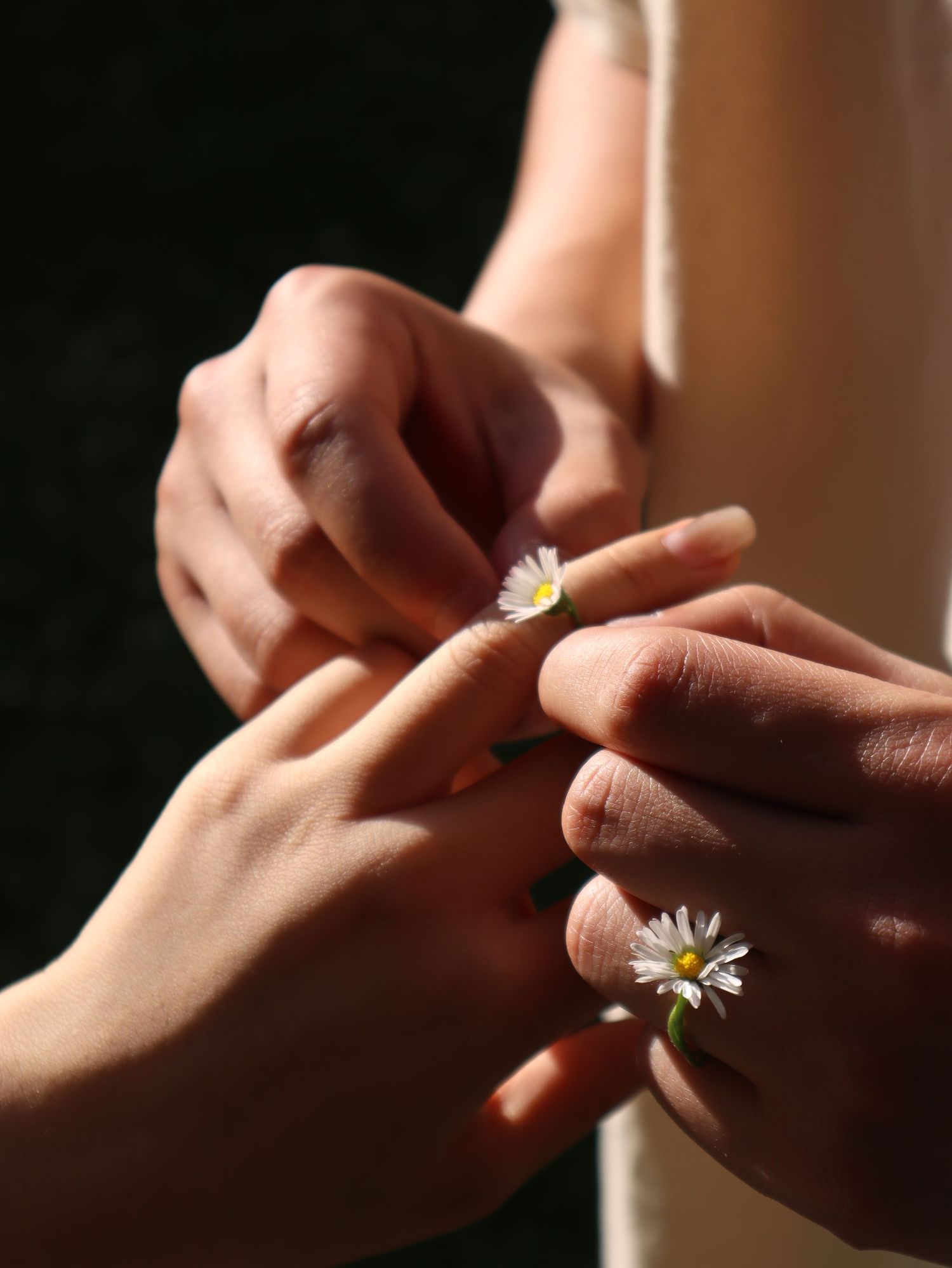 wildflower ring exchanged between melbourne couple during a Melbourne Couple Mini Sessions under the sunset casting soft shadows.