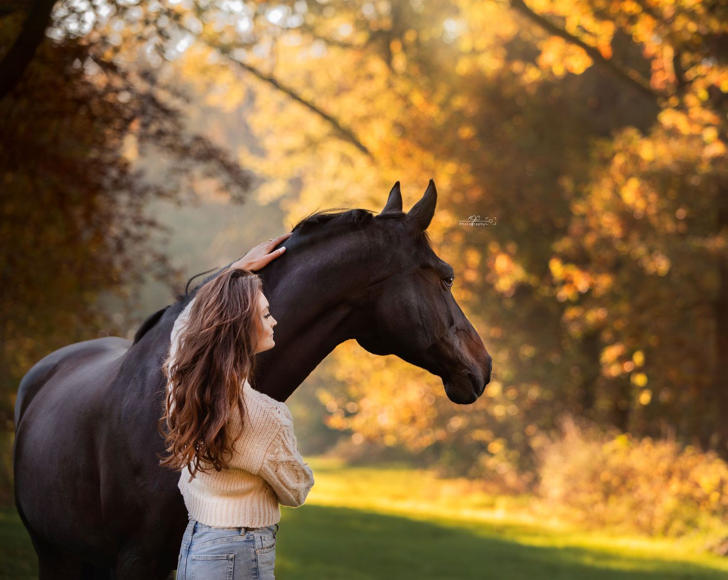 Golden Hour fotoshoot in bossen Gelderland