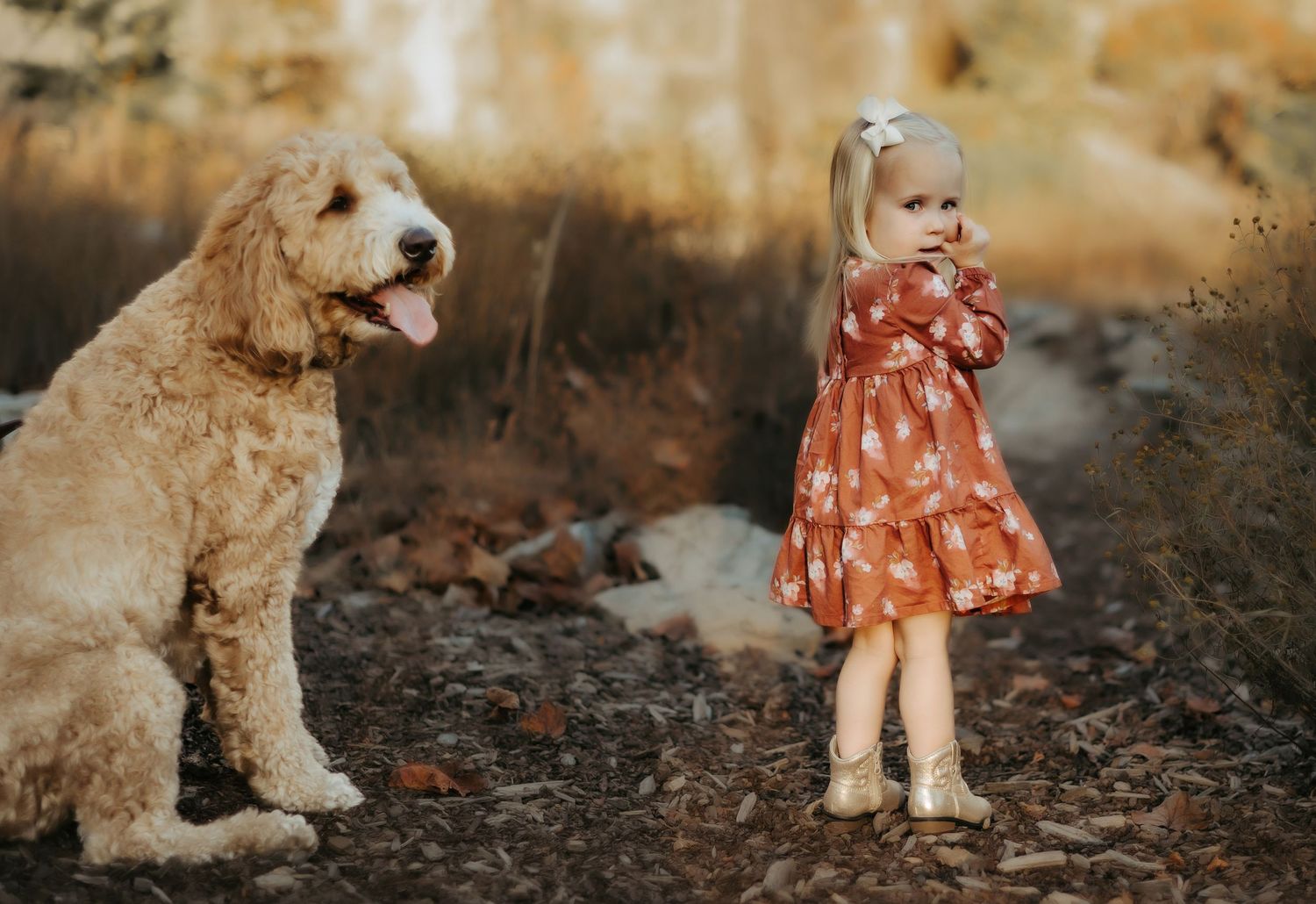 A goldendoodle dog sits next to a small child wearing a polka dot dress in a rustic outdoor setting.